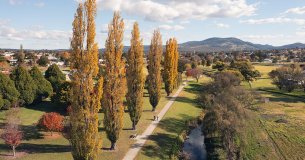 Discover the Tenterfield Shire